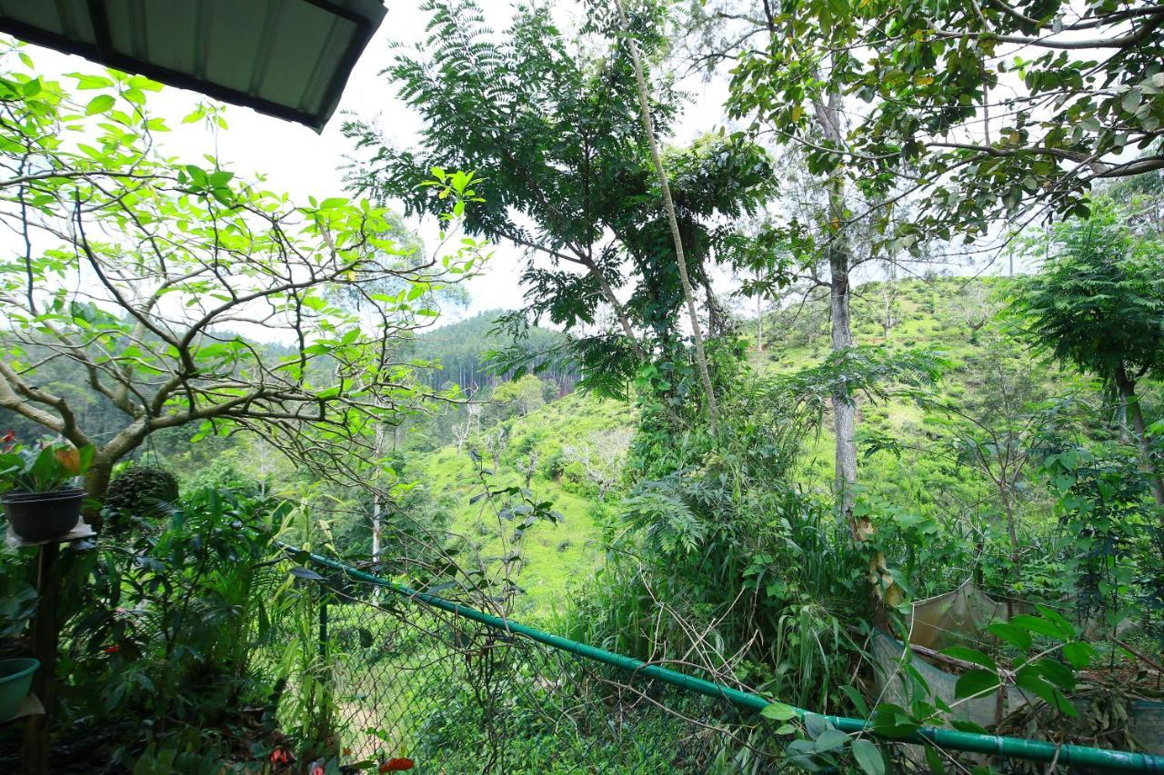 Nature Relax Ella Bagian luar foto