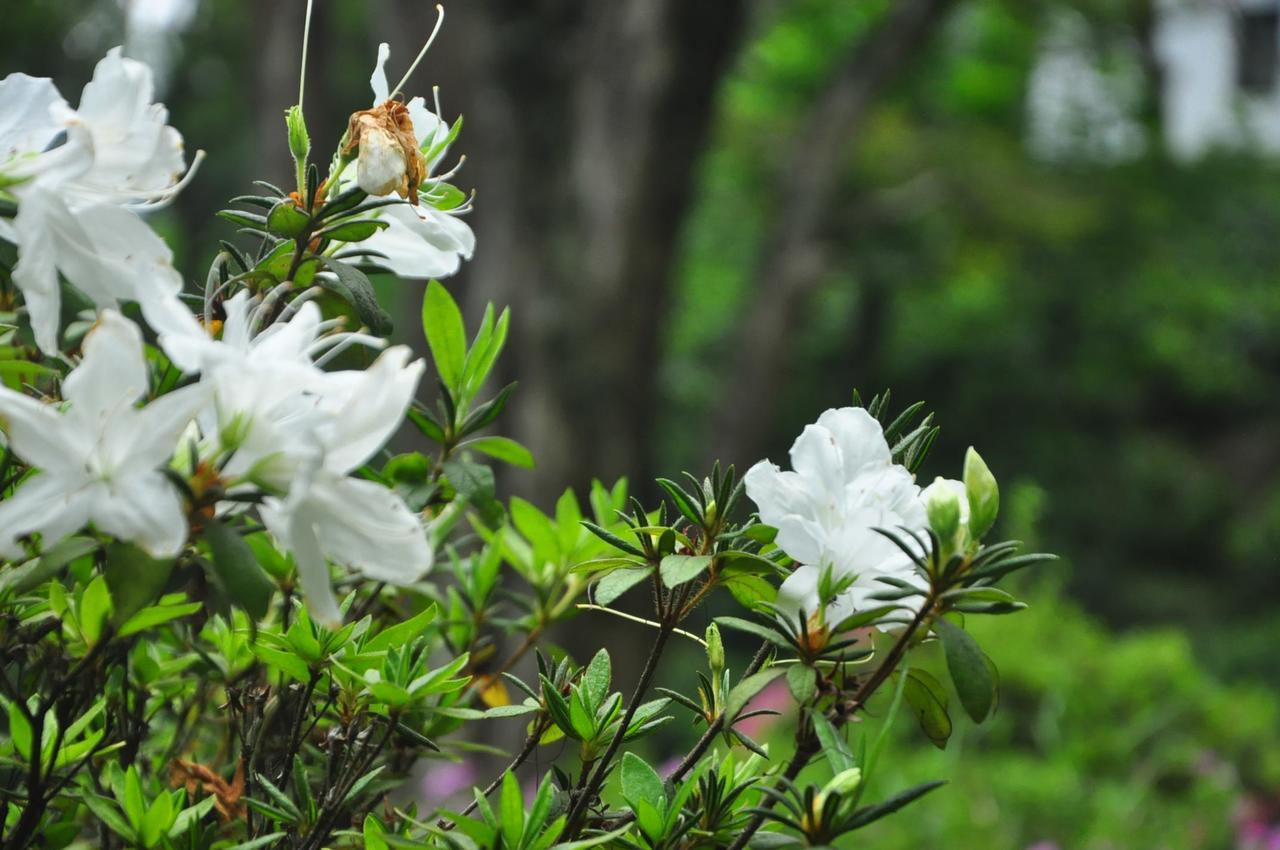 Nature Relax Ella Bagian luar foto