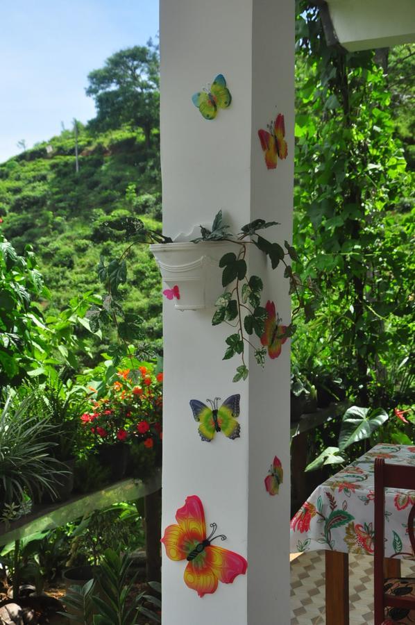 Nature Relax Ella Bagian luar foto